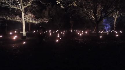 Fire garden