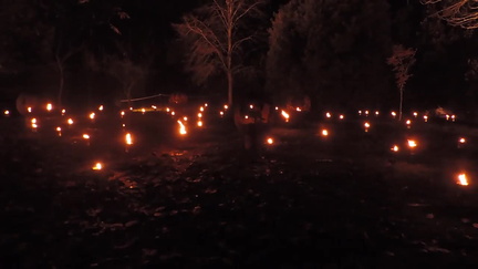 Fire garden