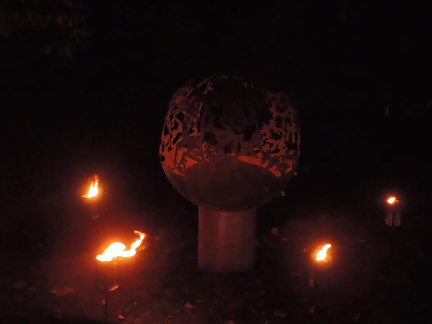 Fire garden
