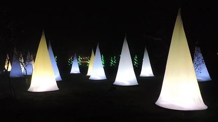 Cones