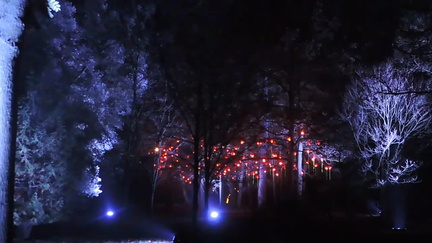 Lights