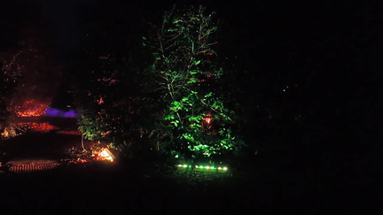 Lights