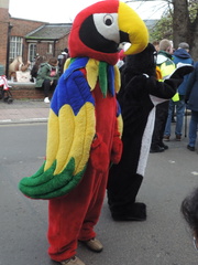 Parrot and penguin