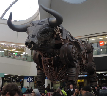 Bull