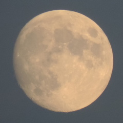 Moon