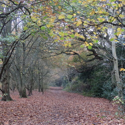 Wythall