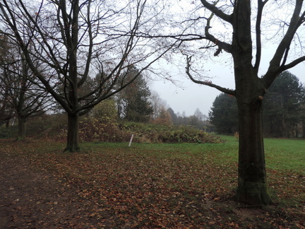 Field