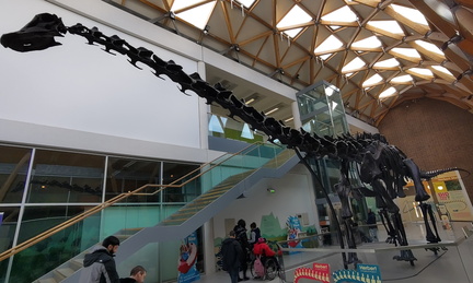 Dinosaur