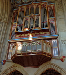 Organ pipes