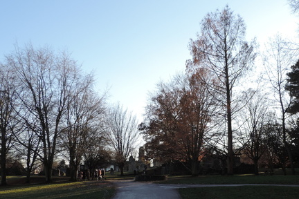 Grounds