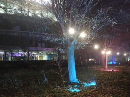 Trees