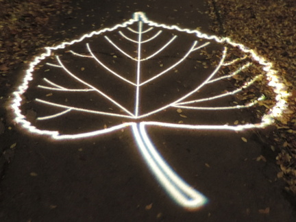 Leaf