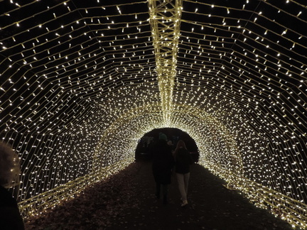 Tunnel