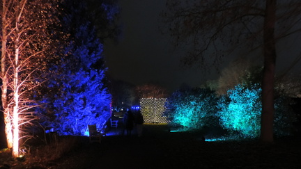 Lights