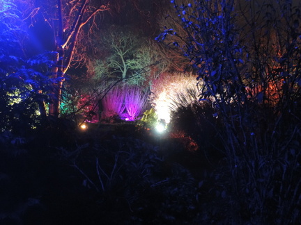 Lights