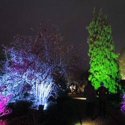 Botanic Lights