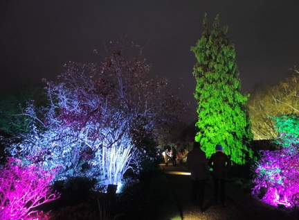 Lights