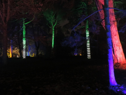 Striped trees
