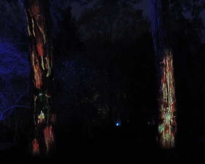 Trees