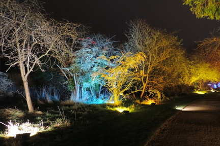 Trees