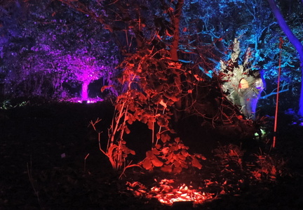 Fairy garden