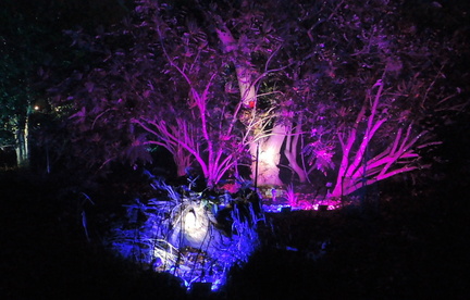 Lights