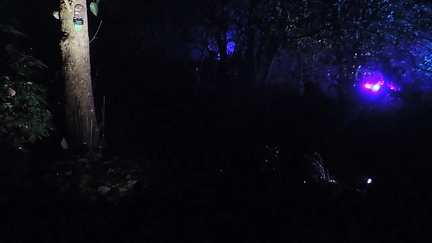Lights