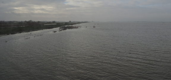 Ouse Washes