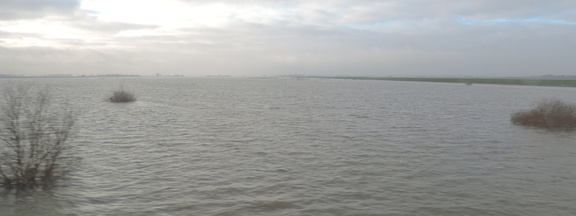 Ouse Washes