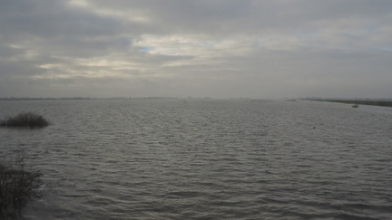Ouse Washes