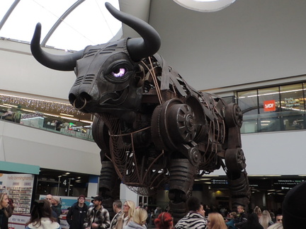 Bull