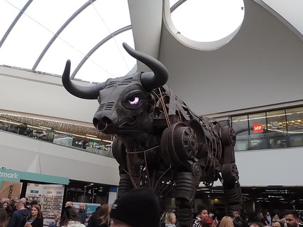 Bull