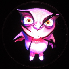 Owl