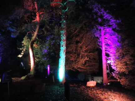 Trees