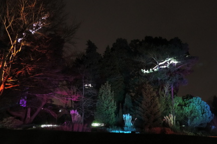 Lights