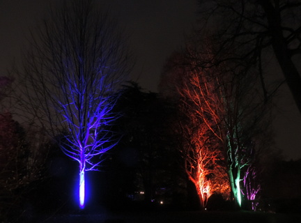 Trees