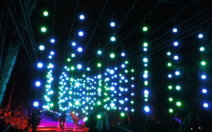 Hanging lights