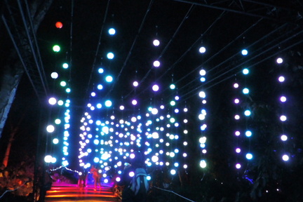 Hanging lights