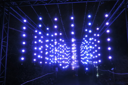 Hanging lights