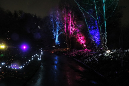 Lights