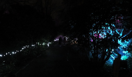 Lights