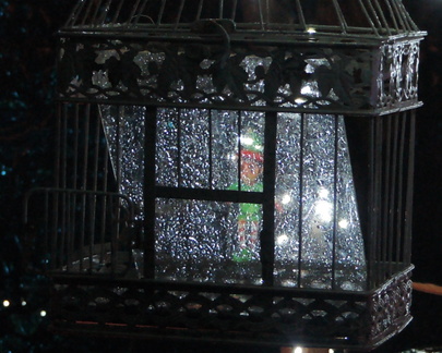 Caged elf