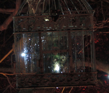 Caged elf