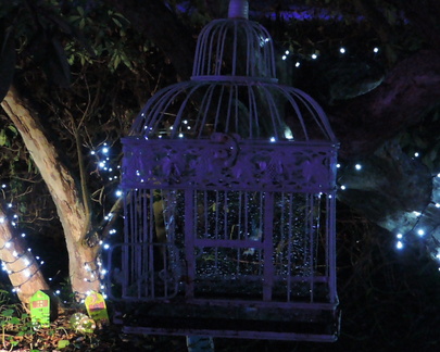 Caged fairy