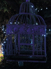 Caged fairy