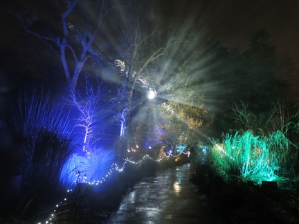 Lights