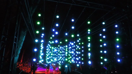 Hanging lights