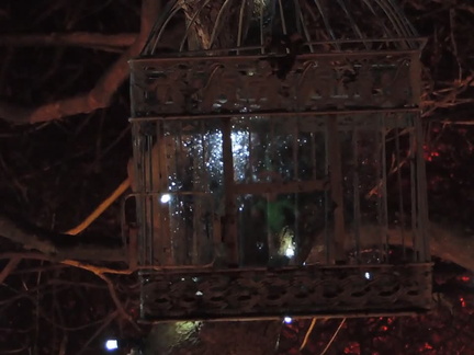 Caged elf