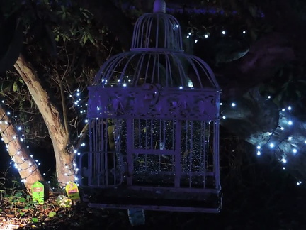 Caged fairy