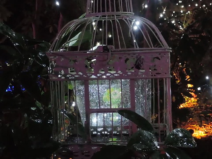 Caged lizard